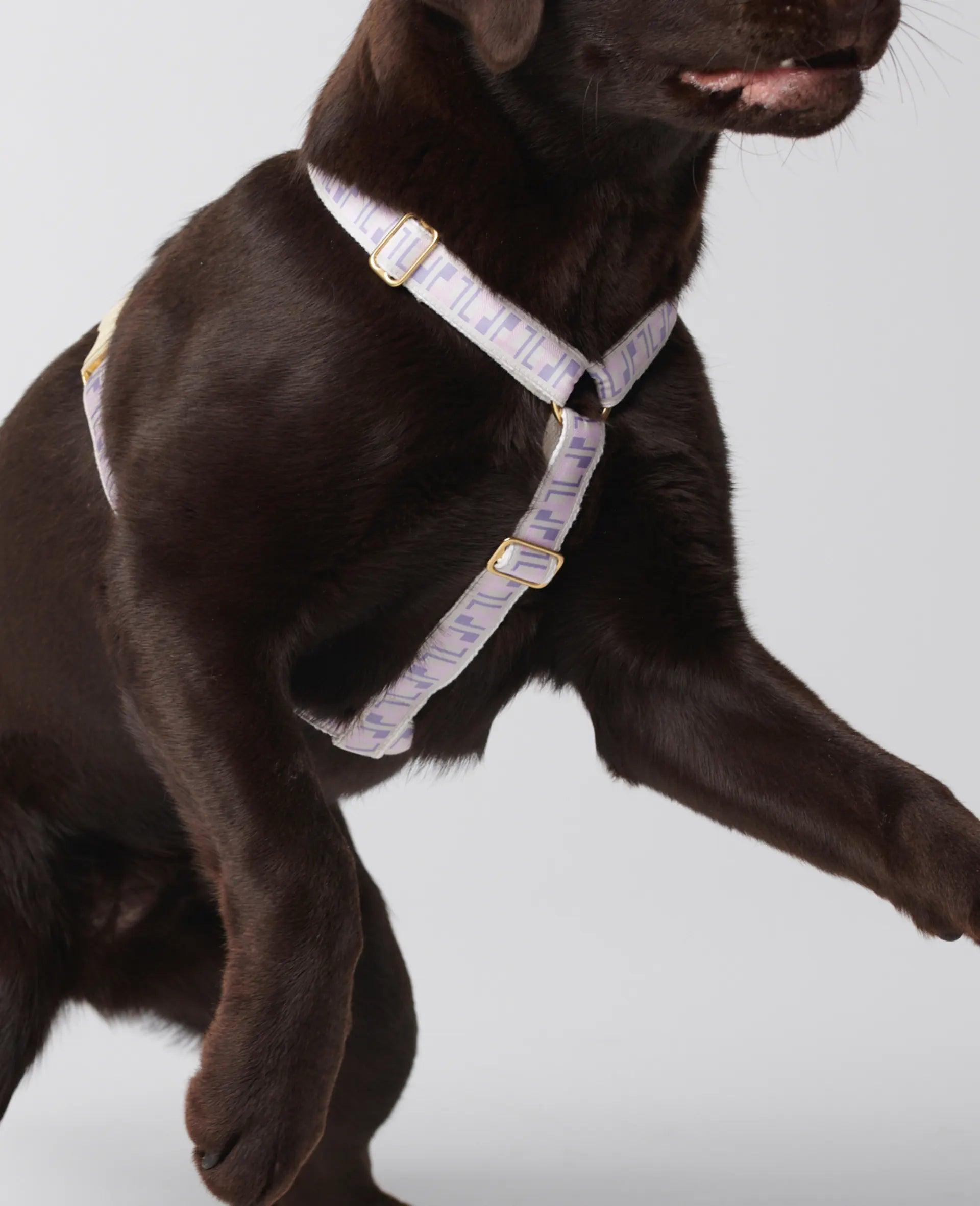Detailing of Trove Dog Harness in lilac and pink