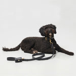 Mela Caspita Dog Collar and Leash set - Black - By Scout
