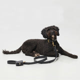 Mela Caspita Dog Collar and Leash set - Black - By Scout