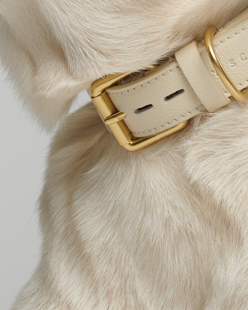 Mela Basic Collar in Cream - By Scout