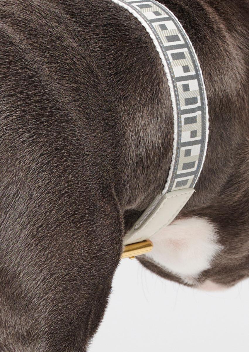 Trove Dog Collar - Cool Grey - By Scout