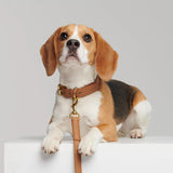 Mela Basic Adjustable Dog Leash - Cognac - By Scout
