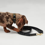 Mela Caspita Dog Leash - Black - By Scout