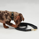Mela Caspita Dog Leash - Black - By Scout