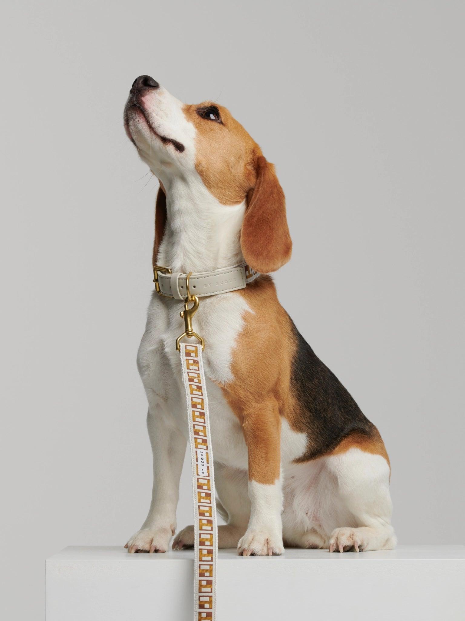 Trove Golden Brown graphic pattern dog leash, attached by brass hardware clasp to matching collar