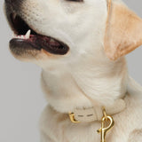 Mela Basic Dog Leash - Cream - By Scout