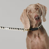 Nice Grill Adjustable Dog Leash - Black - By Scout