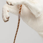 Nice Grill Adjustable Dog Leash - Caramel - By Scout