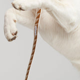 Nice Grill Adjustable Dog Leash - Caramel - By Scout