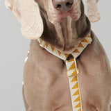Nice Grill Dog Harness in caramel - By Scout