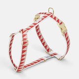 Nice Grill Dog Harness - Red - By Scout