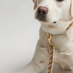 Nice Grill Dog Leash, graphic pattern detail - Caramel - By Scout