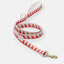 Nice Grill Standard Length Leash - Vermillion - By Scout