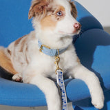 Trove Dog Collar - Blues - By Scout