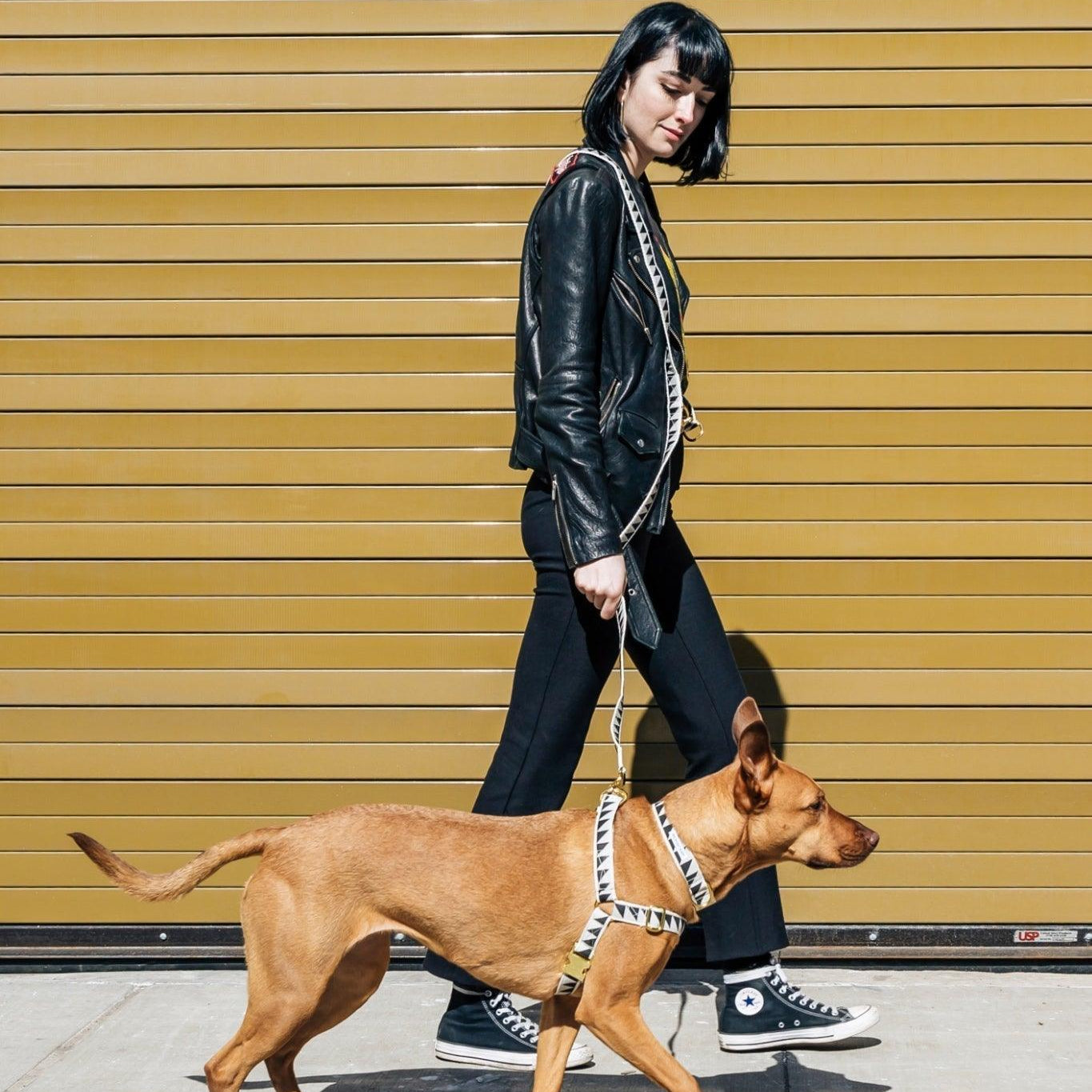 How to - use our 3-1 adjustable dog leash