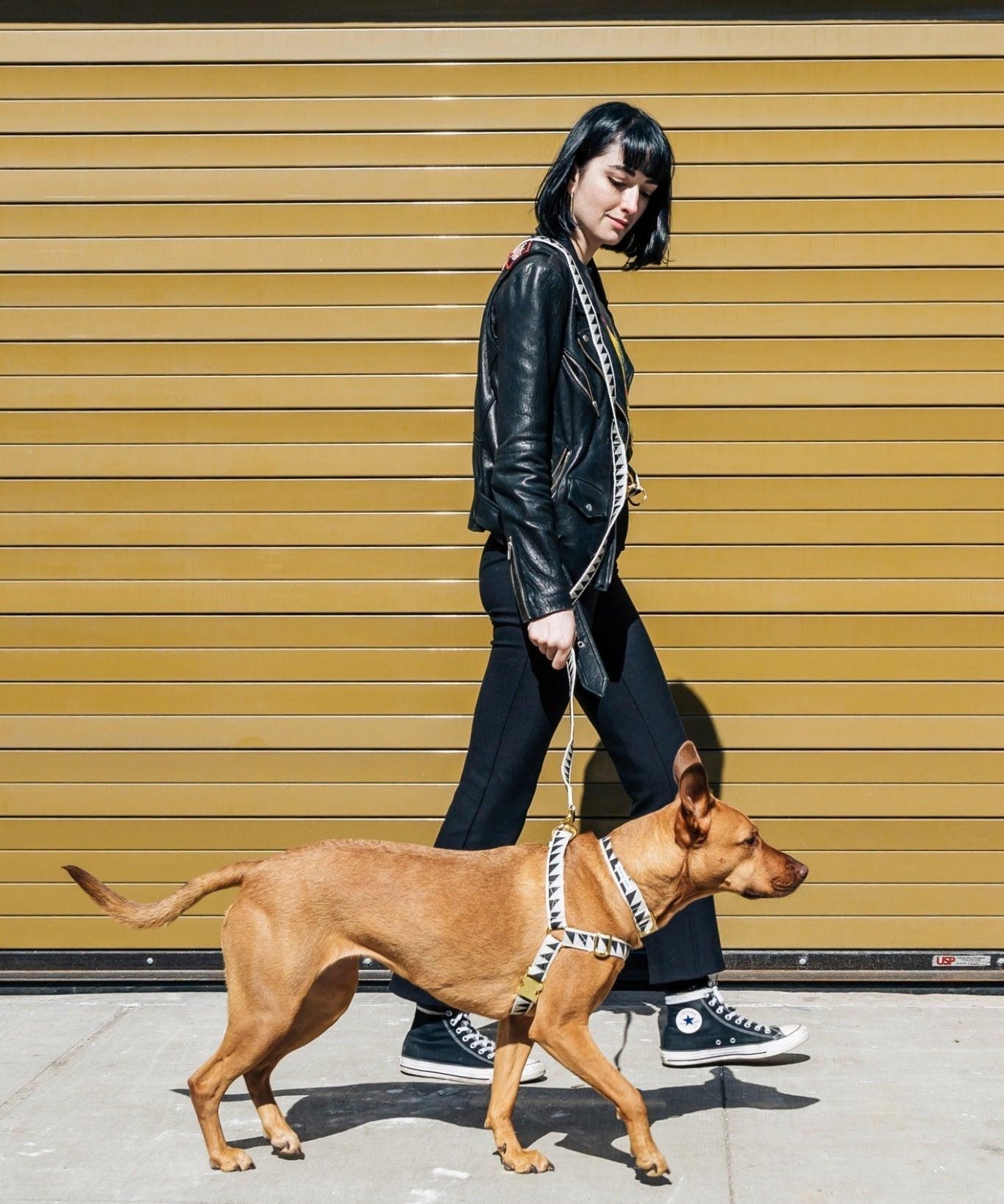 How to - use our 3-1 adjustable dog leash