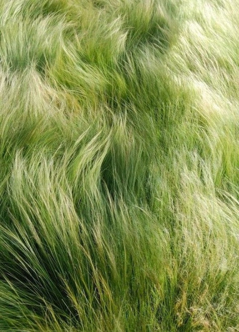 Sustainability