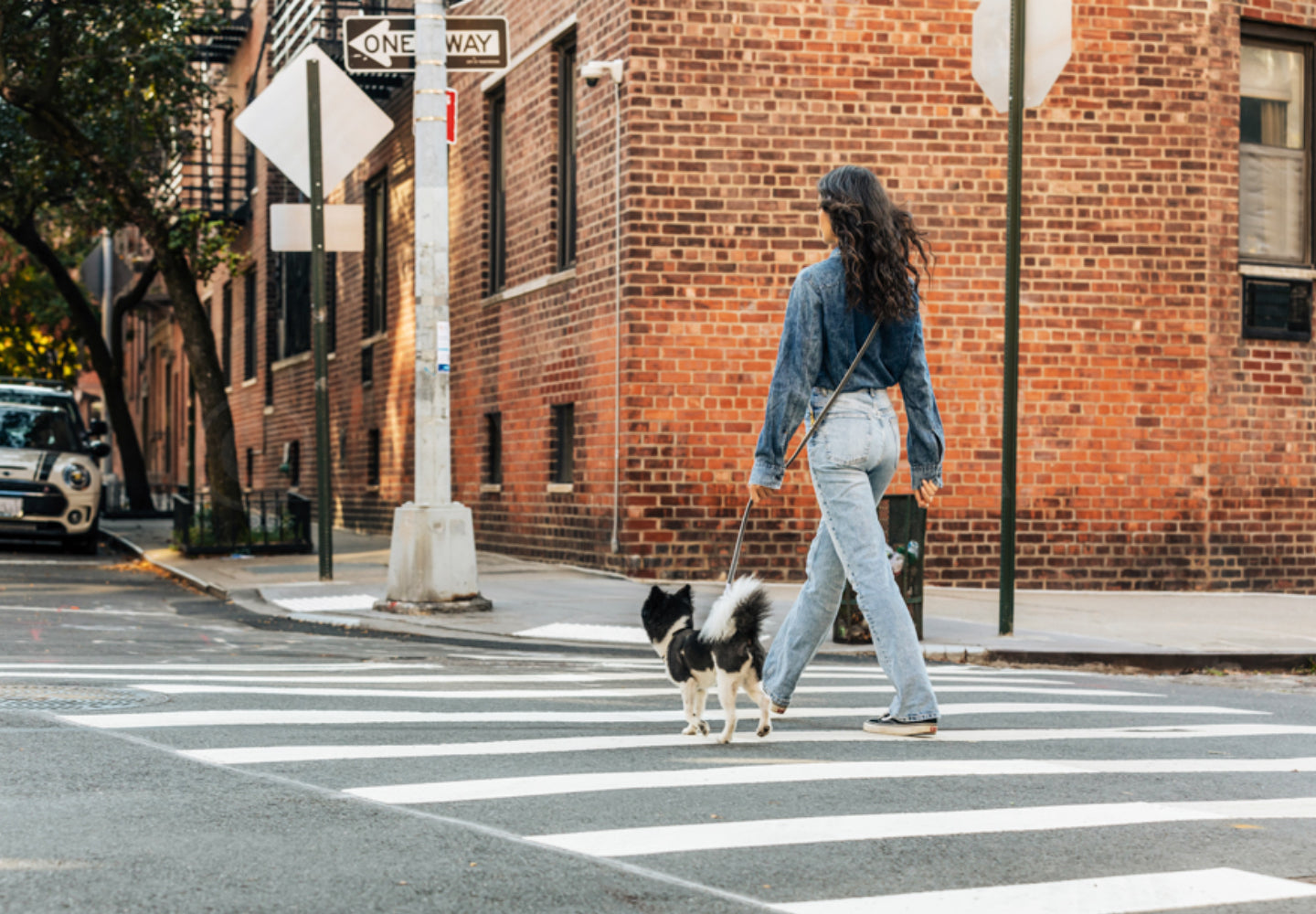 Hands-free Adjustable leashes