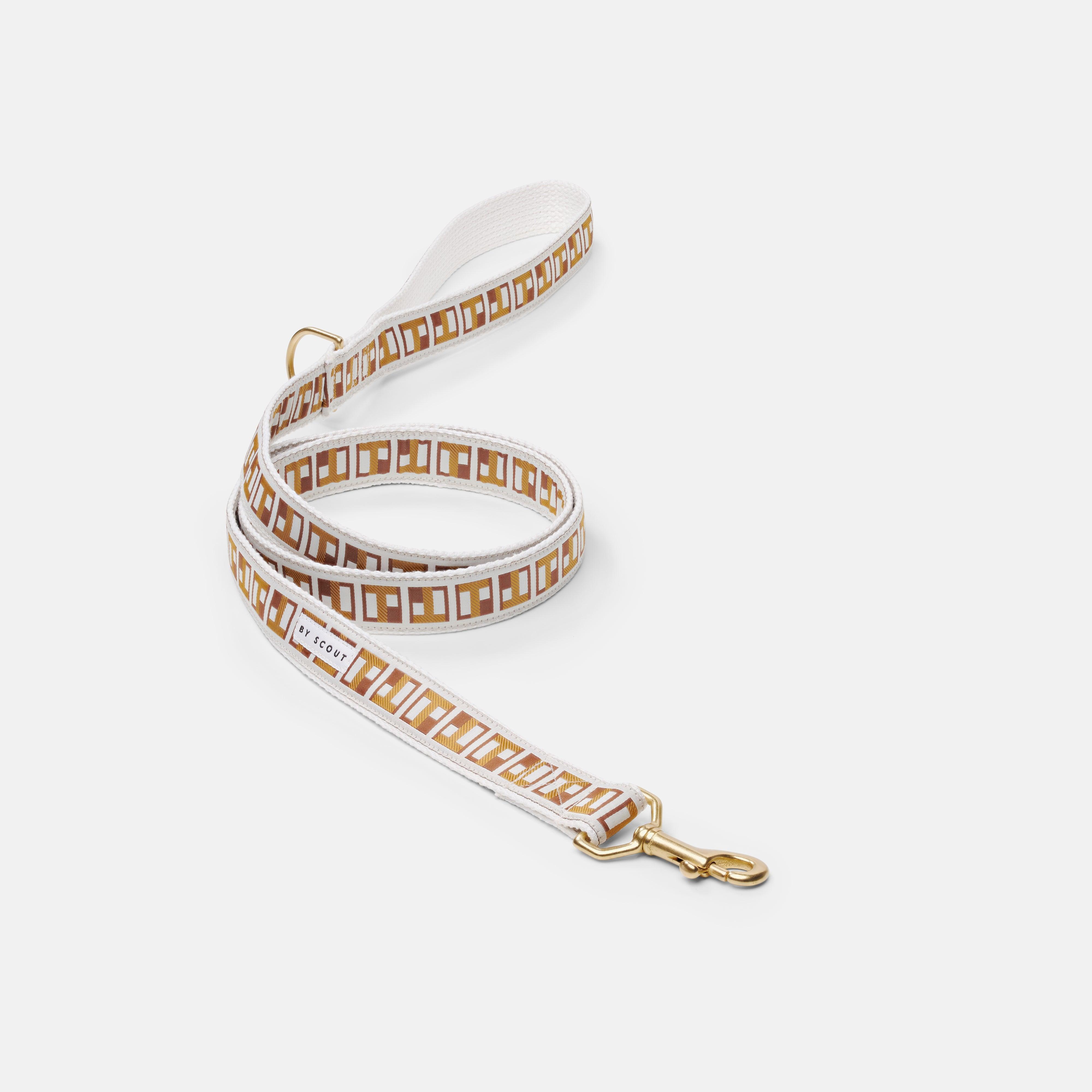 Standard-Length Webbing Leashes