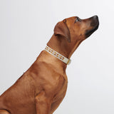 Trove Dog Collar - Golden Brown - By Scout