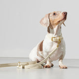 Mela Basic Collar and Leash in Cream- By Scout