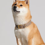 Mela Caspita Dog Collar- Taupe - By Scout