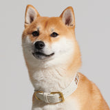 Trove Dog Collar in Golden Brown