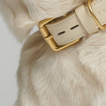 Mela Basic Collar in Cream - By Scout