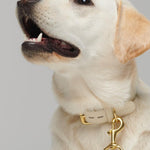 Mela Basic Adjustable Dog Leash - Cream - By Scout