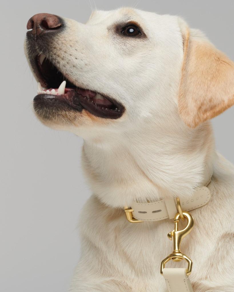 Mela Basic Adjustable Dog Leash - Cream - By Scout