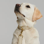 Mela Basic Adjustable Dog Leash - Cream - By Scout