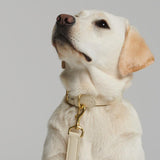 Mela Basic Adjustable Dog Leash - Cream - By Scout
