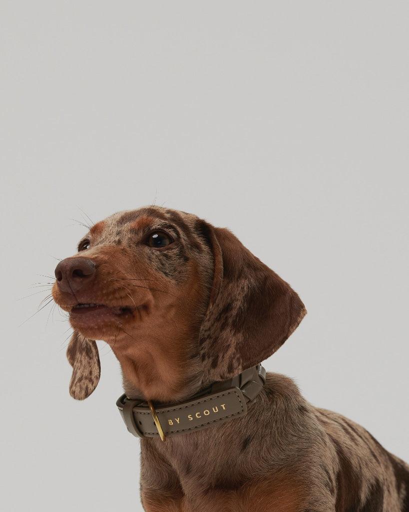 Mela Caspita Dog Collar - Taupe - By Scout