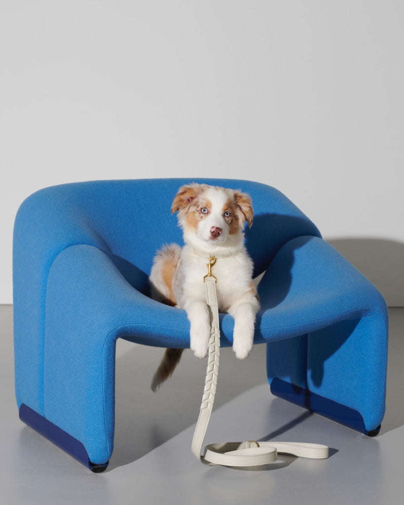 Dog Adjustable Dog Lead Mela Caspita Cream