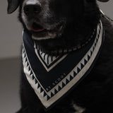 Hey Scout Dog Bandana in Black