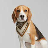 Hey Scout Dog Bandana in Brown