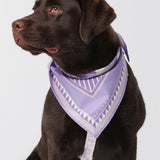 Hey Scout Dog Bandana in Purple