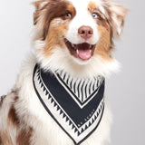 Hey Scout Dog Bandana in Black