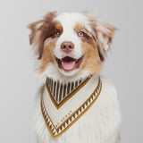Hey Scout Dog Bandana in Brown