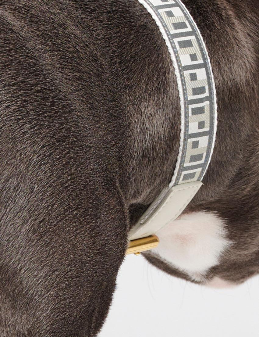 Trove Dog Collar - Cool Grey - By Scout