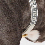 Trove Dog Collar - Cool Grey - By Scout