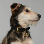 Mela Basic Dog Collar - Black - By Scout