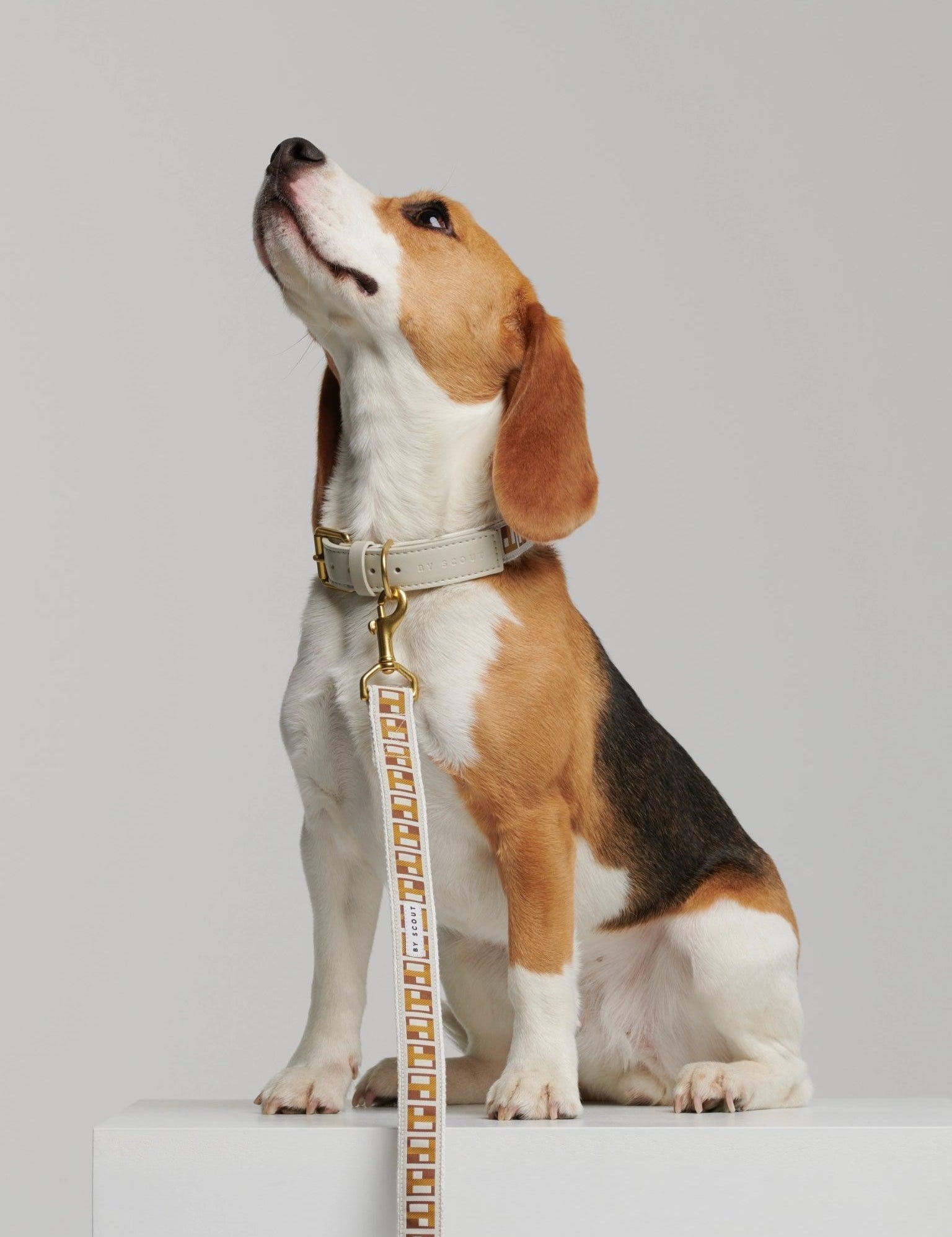 Trove Golden Brown graphic pattern dog leash, attached by brass hardware clasp to matching collar