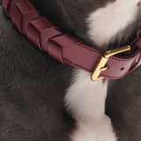 Mela Caspita Dog Collar- Burgundy - By Scout