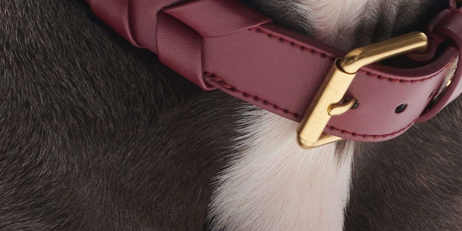 Mela Caspita Dog Collar- Burgundy - By Scout