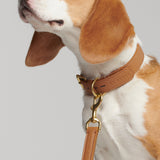 Adjustable Dog Lead Mela Basic Black