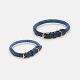 Every Dog Rope Collar in Blue