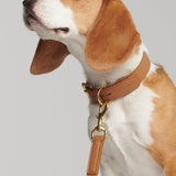 Mela Basic Dog Collar and Leash - Cognac - By Scout