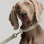 Mela Caspita Adjustable City Leash - Cream - By Scout