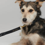 Mela Caspita Dog Collar- Black - By Scout